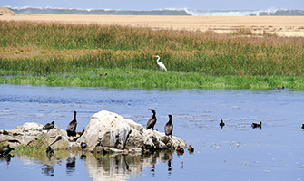 politica_biodiversidad